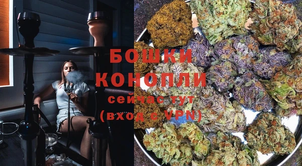 индика Михайлов