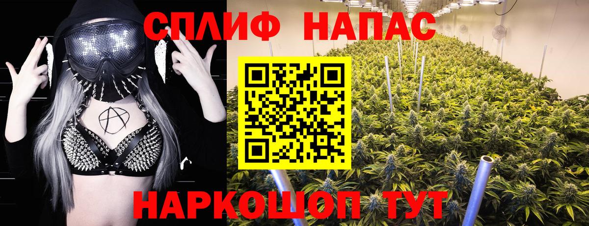 Бошки марихуана AK-47  МАРИХУАНА конопля  Находка  Конопля Ganja  Вход с VPN 